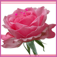 1036-044-06-1069.gif