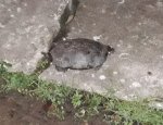 IMG_20190901_2861.jpg