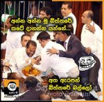 FB_IMG_1542342659436.jpg