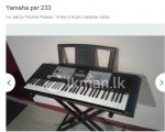 psr233.jpg