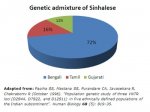 Genetic_admixture_of_Sinhalese_by_Papiha.jpg