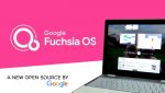 fuchsia-615x345.jpg fuchsia-615x345.jpg