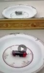 IMG_20200713_162038.jpg
