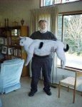 pussy 1.jpg
