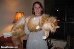 pussy 2.jpg