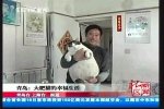 pussy 3.JPG