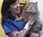 pussy 4.jpg