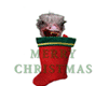 041203_sockostrich.gif