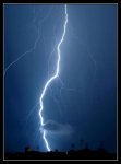 8091894-md.jpg