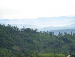 MOUNTAIN 3.JPG