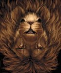 lionmouse-illusion1.jpg