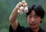 master-of-the-eggs.jpg