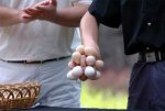 eggs-master.jpg