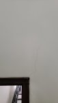 20200812_155104.jpg