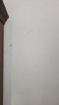 20200812_155017.jpg