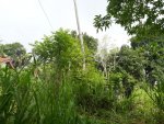 IMG-20200719-WA0003.jpg
