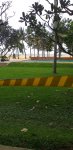IMG-20201001-WA0050.jpg