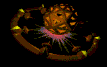 la.gif