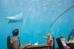 Under+Water+Restaurant3.jpg