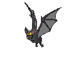 anim003.gif
