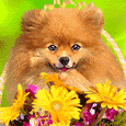 8607-046-02-1042.gif
