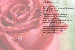 rosa.jpg
