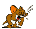 image015.gif