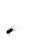 ant.gif