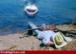 lunch-time-at-the-beach.jpg