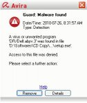 virus.JPG