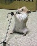 american-idol.jpg