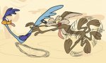 wile-e-coyote-3.jpg