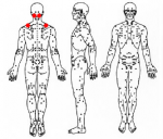 acupressure-shoulder-tension.png