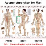 Standard-Meridian-Acupuncture-Points-Chart-and-ZhenJiu-Moxibustion-Acupoint-Massage-Chart-for-...jpg