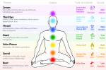 What-are-Chakras.png