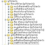 2.JPG