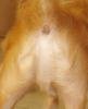 Can you see.jpg
