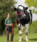 Awesome-Weird-and-Funny-Guinness-World-Records-001.jpg