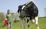 Awesome-Weird-and-Funny-Guinness-World-Records-003.jpg