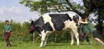 Awesome-Weird-and-Funny-Guinness-World-Records-004.jpg