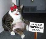 sexy-cat.jpg sexy-cat.jpg
