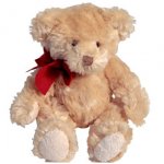 teddy_bear.jpg