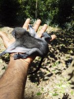 141880370_895292631240556_7568312996346432602_o.jpg
