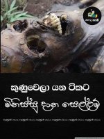 FB_IMG_1602944589187.jpg