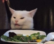 1614056170138.png
