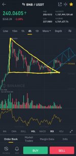 Screenshot_20210303-073706_Binance.jpg
