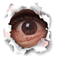 sahanhj