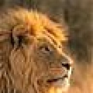 leohearted