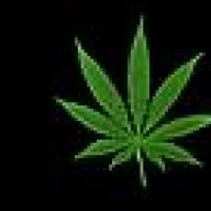 chamindaz