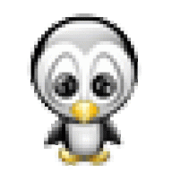 penguinruwan